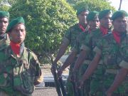 Falintil forces